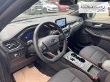 FORD Kuga Plug-In Hybrid ST-Line HUD AHK-klappbar Navi Digitales Cockpit LED Blendfreies Fernl.