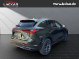LEXUS NX 350h h 243 PS * Sitzklima Connect - Paket 360