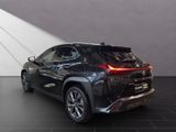LEXUS UX 250 h F-Sport Design Allwetter