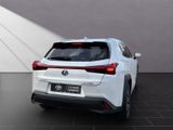 LEXUS UX 250 h Style Edition*Navi*11J.Garantie*