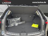 LEXUS NX 350 h 243 PS Executive Inter ieur Paket + Tec