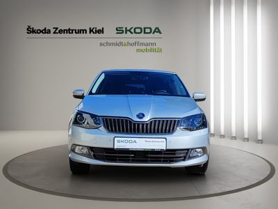 SKODA Fabia 1.0 MPI Joy Green tec Klima Einparkhilfe
