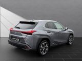 LEXUS UX 250 h*STYLE*CARPLAY*PDC*15 JAHRE GARANTIE