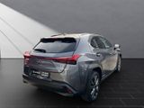 LEXUS UX 250H*SCHECKHEFT*TOTW*LEDER*