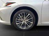 LEXUS ES 300 h Business Line *Leder*Schiebedach*