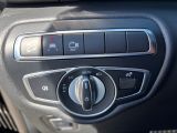 MERCEDES-BENZ V 300 ALLRAD EXCLUSIVE EDITION Lang AMG/SPUR/DISTRO/AIRMATIC/E TÜREN