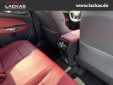 LEXUS NX 350 h 243 PS ** 15 Jahre Gar antie ** Sitzkli