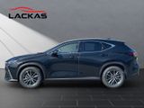 LEXUS NX 450h Executive Panorama