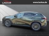 LEXUS NX 350 h 243 PS ** 15 Jahre Gar antie ** Sitzkli