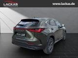 LEXUS NX 350 h 243 PS Executive Inter ieur Paket + Tec