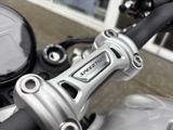 TRIUMPH Speed Twin 1200 MY25 4 Jahre Garantie Kurven-ABS