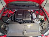 AUDI A6 Avant 55 TFSI e quattro sport S-tronic S-Line