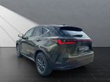 LEXUS NX450H+ Executive Panorama Int+Technologie Paket