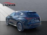 LEXUS NX450H+ Executive Panorama
