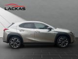 LEXUS UX 250h*STYLE*1HD*CARPLAY*SHZ* 15J-GARANTIE*