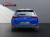 LEXUS UX 300h F-Sport E FOUR Schiebedach+360°+LEDER