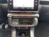 CITROEN C3 Max*KAMERA*NAVI*SITZ*TOP*1.HAND*TEMPOMAT*