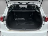 KIA Cee'd_sw Sportswagon Edition SW 1.0T 100 Ultimate STD