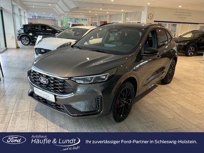 FORD Kuga Plug-In Hybrid ST-Line X AHK 360 Kamera LED