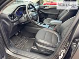 FORD Kuga Hybrid Titanium X HUD AHK-klappbar Navi Digitales Cockpit Soundsystem B & O LED