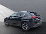 LEXUS UX 250h STYLE EDITION*LED*KAM* CARPLAY*GARANTIE