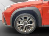 LEXUS UX 250h*F-SPORT-D*1.HD*ALLW.REIF*SHZ* NAVI*CARP*
