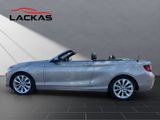BMW 220 CABRIO 220 d*NAVI*KAMERA*LEDER