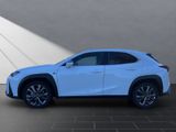 LEXUS UX 250h*F-Sport-D*1HD*SHZ*CARPLAY* DAB*