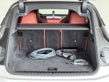 BMW iX xDrive40 Laserlicht+H&K+AppleCarPlay DW 0,25%