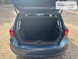 FORD Fiesta Titanium LED PDC SHZ Beheizb. Frontsch.