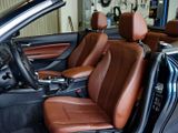 BMW 220i Luxury Line Leder Klima PDC 17 LM