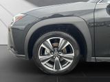 LEXUS UX 250h*STYLE*1HD*CARPLAY* 15J-GARANTIE*