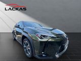 LEXUS UX 250h STYLE SHZ+KAMERA+PDC+LED+DAB+CARPLAY+18"