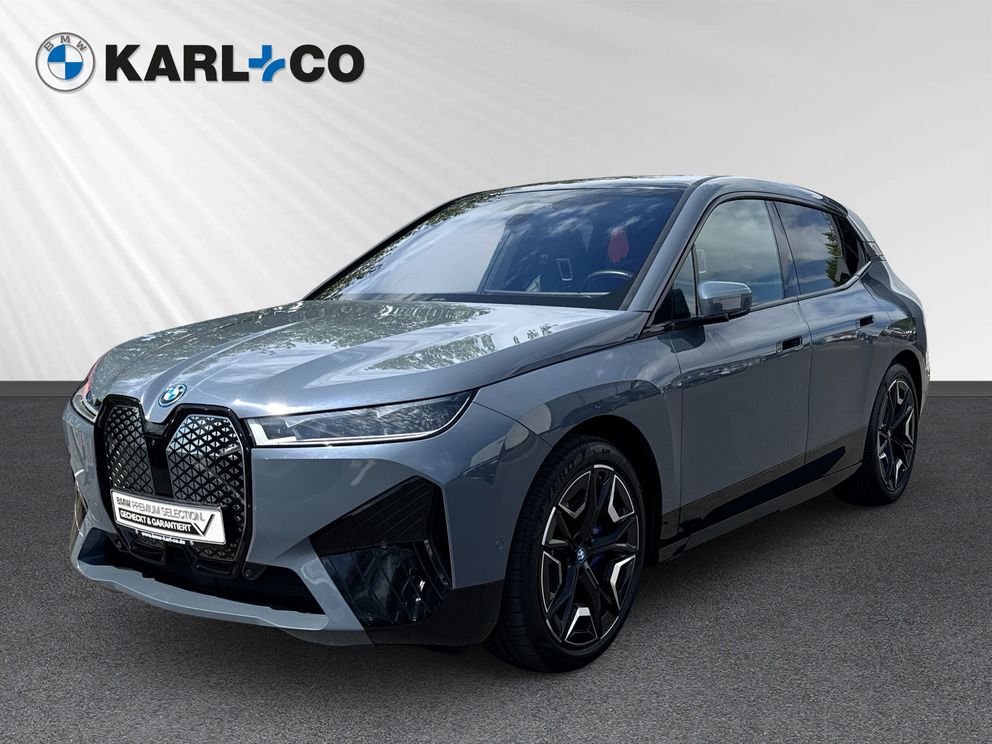 BMW iX 40xDrive Sportpaket Soft-Close ACC Sky-Lounge