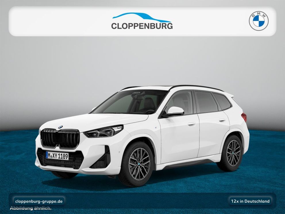 BMW X1 xDrive23d M Sport Head-Up+Navi+Pano+Kamera+BT