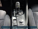 BMW X2 xDrive20d (2016 - 2024) M Sport Navi+Kamera