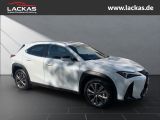 LEXUS UX 300h F-SPORT DESIGN*TOTW*FA CELIFT*GARANTIE*