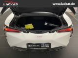 LEXUS LC 500 Coupe*Ultimate*Neu/New Service* HUD * AD 