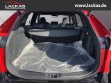 TOYOTA RAV 4 PLUG-IN HYBRID GR SPORT* *TEILLEDER*AHK*