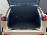 LEXUS NX 350h E-Four Overtrail*PANORAMA*MARKLEVINSON*