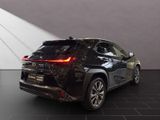 LEXUS UX 250 h F-Sport Design Allwetter