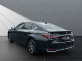 LEXUS ES 300 300h Business Line