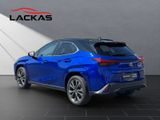 LEXUS UX 300h F Sport HuD+LEDER+MEMORY+SITZKLIMA