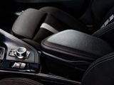 BMW X2 sDrive18d Advantage Plus Kamera 18