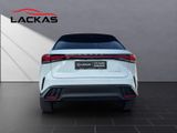 LEXUS RX 450 h+ F-Sport Design PANO+360KAMERA