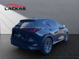 LEXUS NX 450h Executive Interieur & Technologie Paket