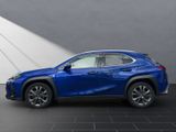 LEXUS UX 250h F Sport Design NAVI+KAMERA+ACC+LED+18"