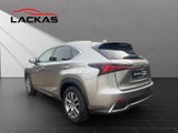 LEXUS NX 300 Business ALLWETTER+4x4+PDC+NAVI+DAB+