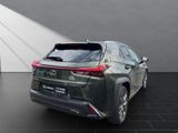 LEXUS UX 250h*F-SPORT-D*1.HD*ALLW.REIF*NAVI*SHZ*