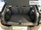 FORD Explorer RWD Allwetterreifen El. Heckklappe HUD